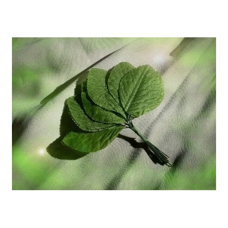 Зелень, листя, гілочки для топиарий