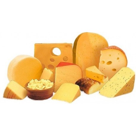 Муляжи Сыр и сырные продукты