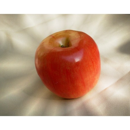 яблуко Афіна А1749