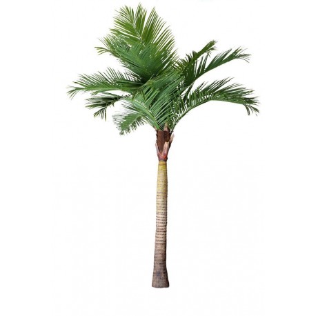 A2016 Кокосова пальма (330см)