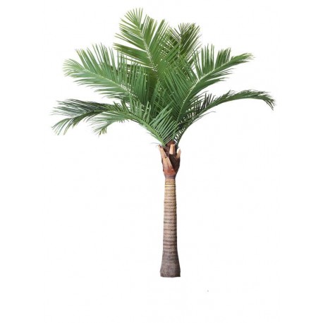 A2028Кутова пальма (280 см).