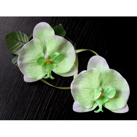 Набір для орхідей «біло-зелений»