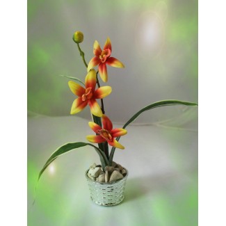 Латексна орхідея 9