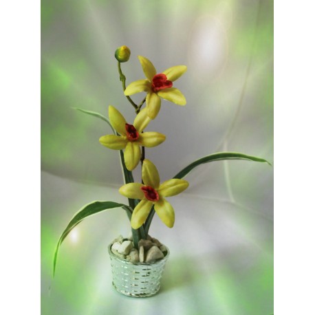 Латексна орхідея 10