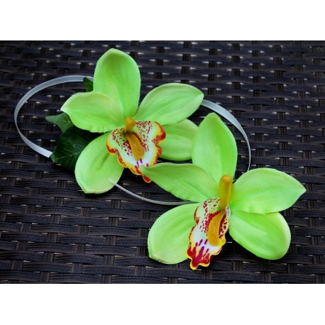 Набор Орхидея Цимбидиум"зелёный"