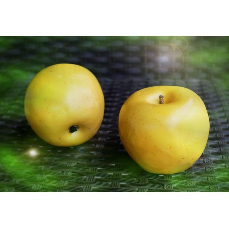 Яблоко желтое А1059