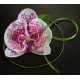 Браслет гавайської орхідеї біло-малиновий