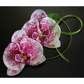 Набір орхідеї біло-малиновий