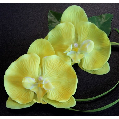 Набор Орхидея лимонная