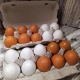 Муляж Яйцо куриное(лоток 10шт)