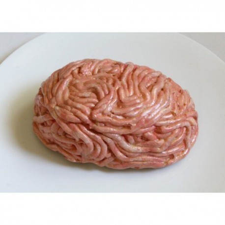 Муляж Фарш свинячий