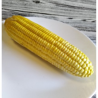Муляж Кукурудза