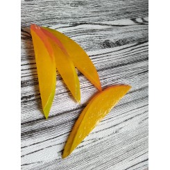 Муляж "Манго долька"