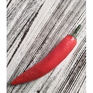 Муляж Перець гіркий