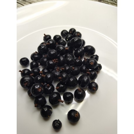 Муляж Смородина 10 шт