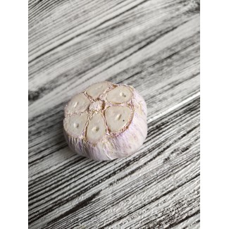 Муляж Часник зріз