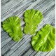 Муляж Лист салату, 1 шт.